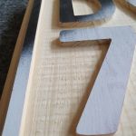 3D_logofraesung_3