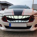 PKW_Kuehlergrill_smile_grinsen_zaehne_teeth_Logo_Emblem_beleuchtbar_1