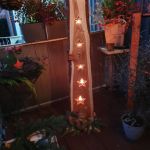 baumbrett_sternausschnitt_5